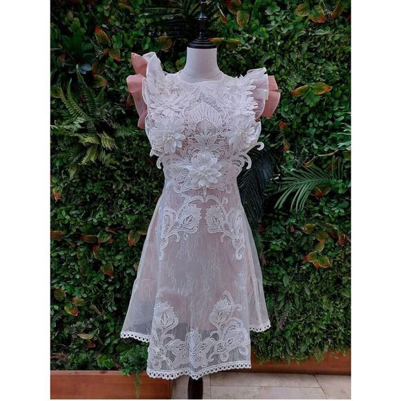 Aimili Lace Lined Dress - Picture 2 of 14